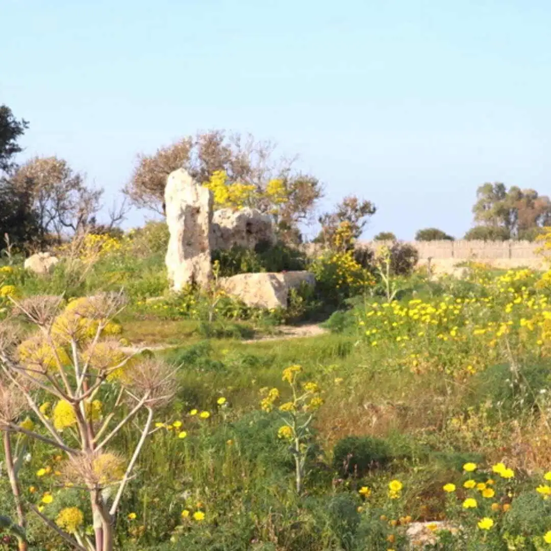 ancient gozo