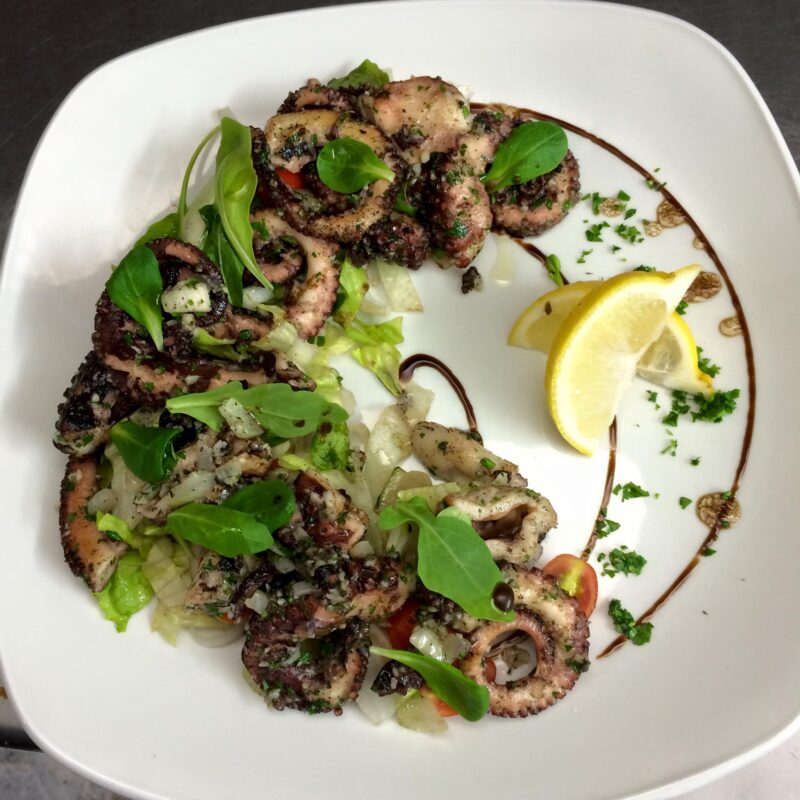 11884949 848536661889593 6209539532372875858 o 800x800