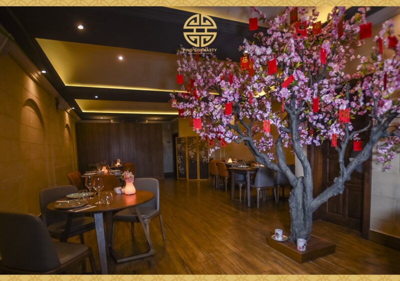 155043022 3842104552499401 2052374600893598622 n 800x563