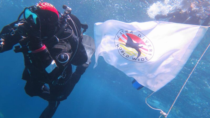 188226397 4004577782972535 7740149265495912000 n 800x450