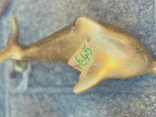 11 6 560x560 1 320x240