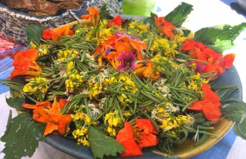 Connect 2 Gozo Art Retreats Gozo Connect 2 Gozo Art Retreats Gozo