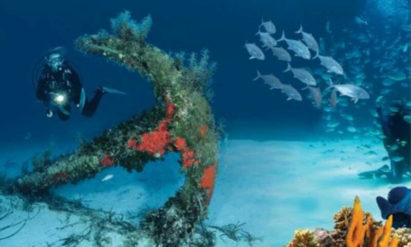 Atlantis Dive Guide Listing  800x480