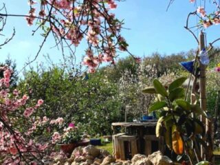 Connect 2 Gozo Art Retreats Gozo Connect 2 Gozo Art Retreats Gozo