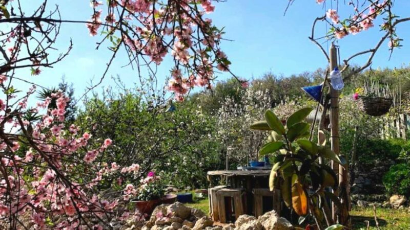 Connect 2 Gozo Art Retreats Gozo Connect 2 Gozo Art Retreats Gozo