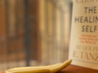 Healing gozo 320x240