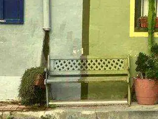 A quaint street corner in Marsalforn featuring a painted wooden bench, a large cactus, and a colorful green and grey building facade.
