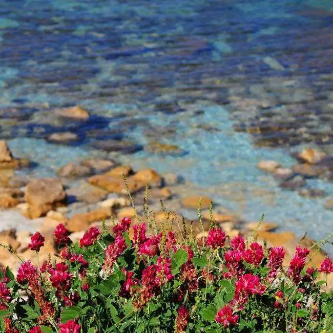 San Filep Beach 2