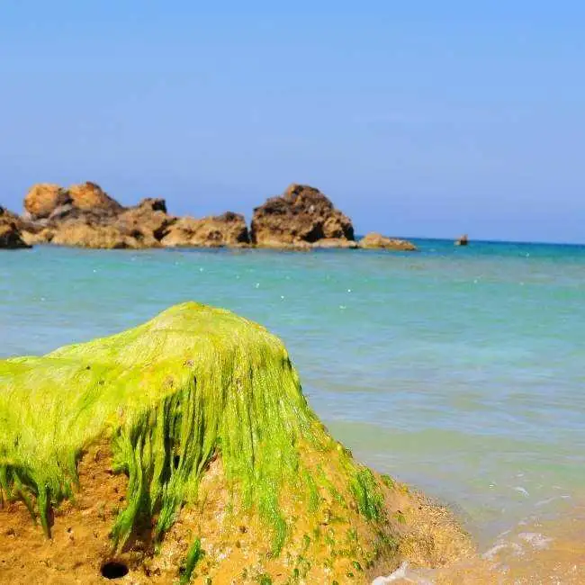 San Filep Beach 3