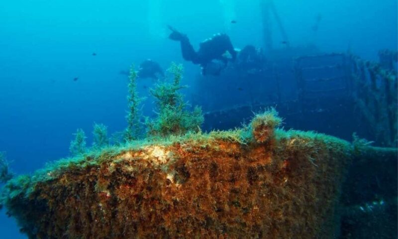 Family Diving Gozo Listing Optimised 800x480