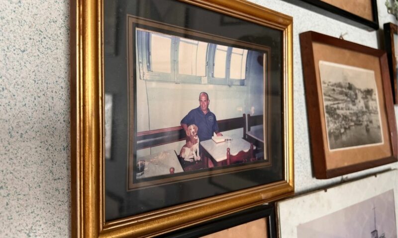 Tony and his dog back in the 80s Tony and his dog back in the 80s