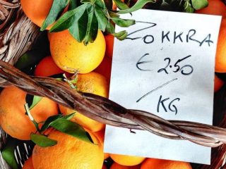 Ta Mena Fruit Ta Mena Fruit