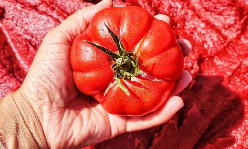 Ta Mena Fruit Ta Mena Fruit