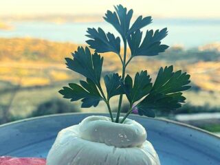 Fliegu Bar & Restaurant Fliegu Bar & Restaurant