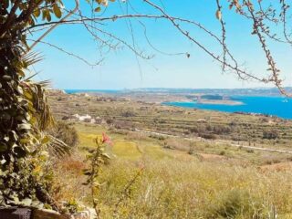 Fliegu Bar & Restaurant Fliegu Bar & Restaurant