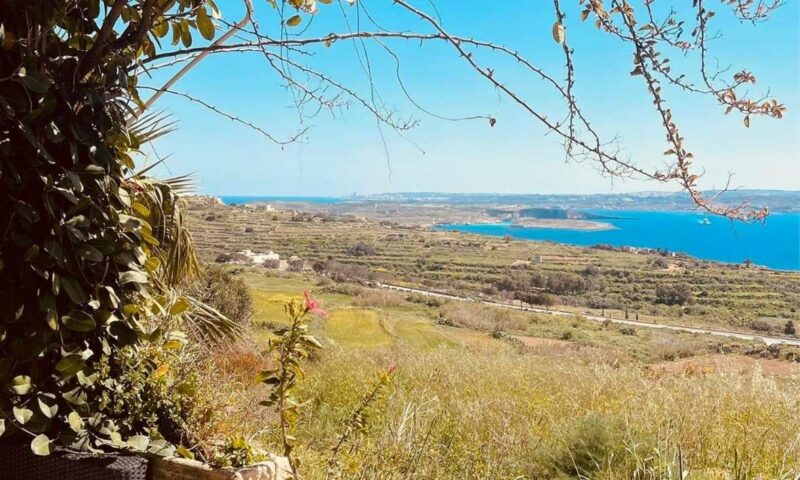 Fliegu Bar & Restaurant