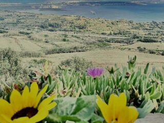 Fliegu Bar & Restaurant Fliegu Bar & Restaurant