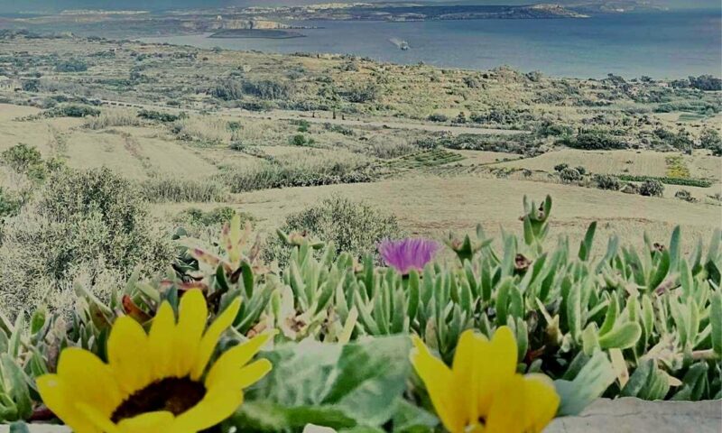 Fliegu Bar & Restaurant