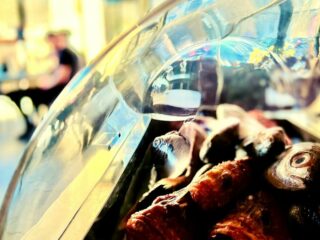 Ta Tona Restaurant, Gozo Ta Tona Restaurant, Gozo