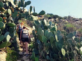 hike gozo 320x240