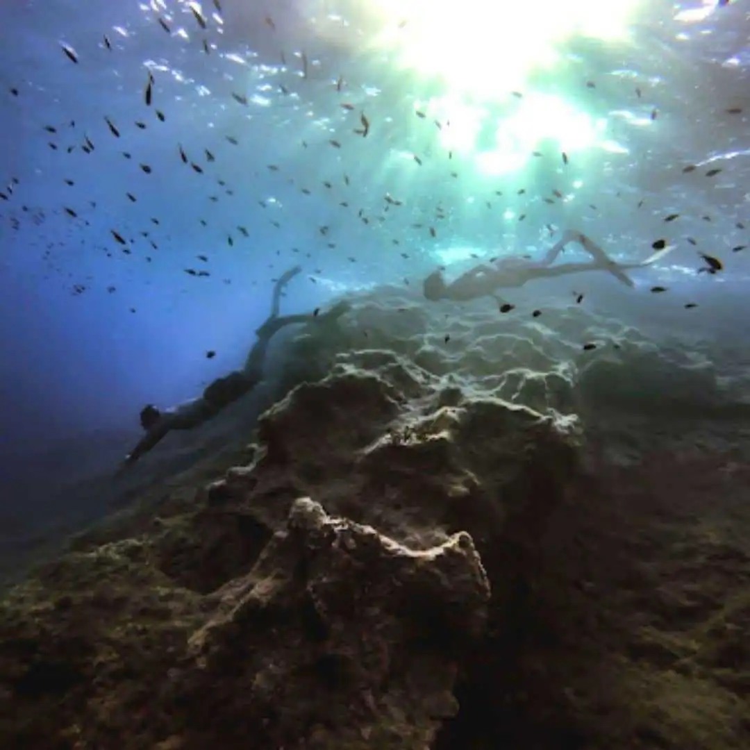 freediving in Gozo