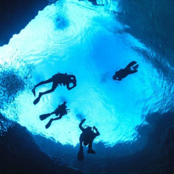Gozo Diving Stories