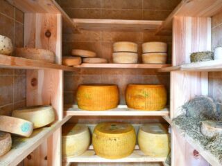 Vini e Capricci 320x240