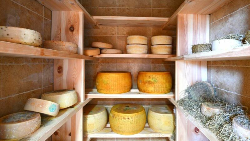 Vini e Capricci 800x450