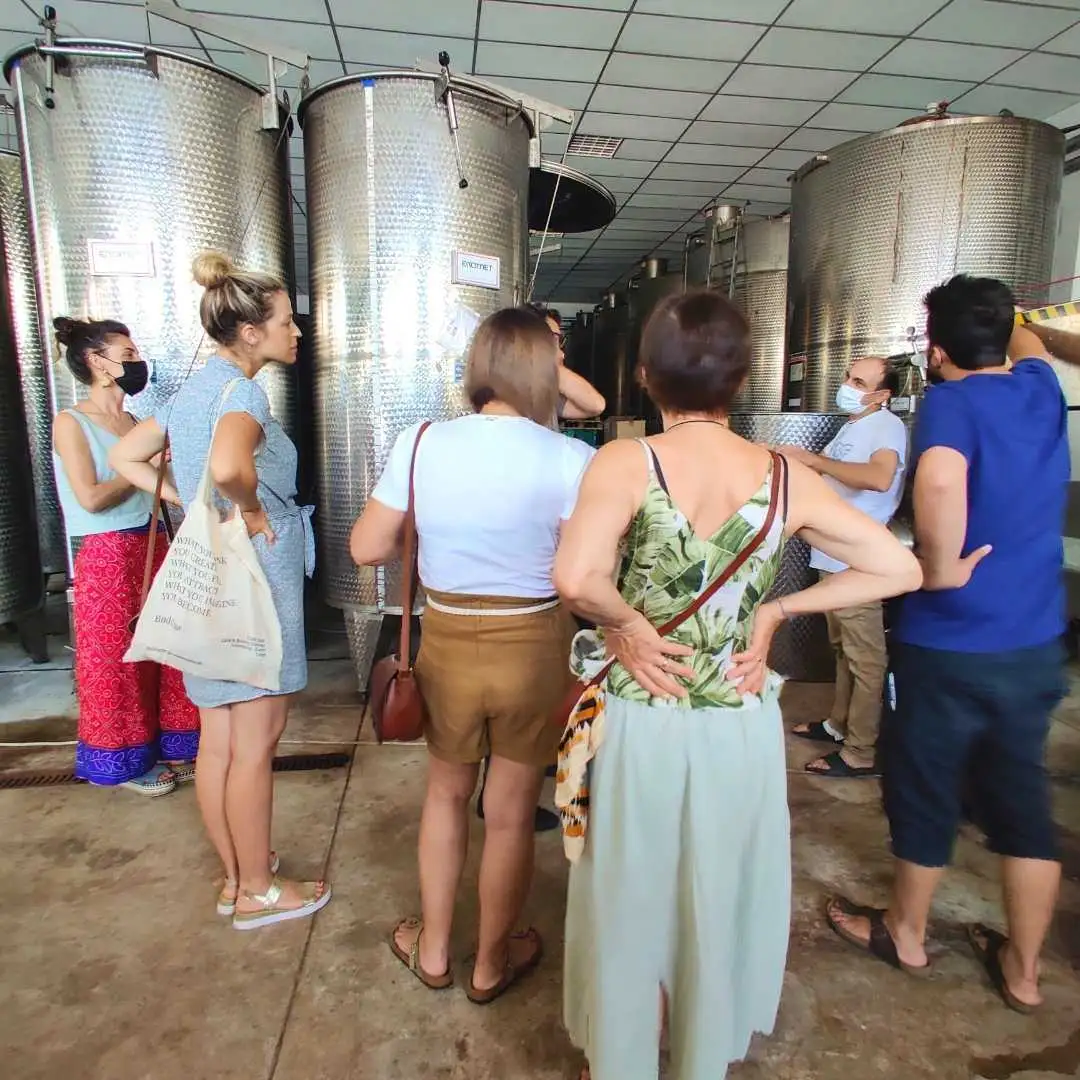 book a wine tour gozo