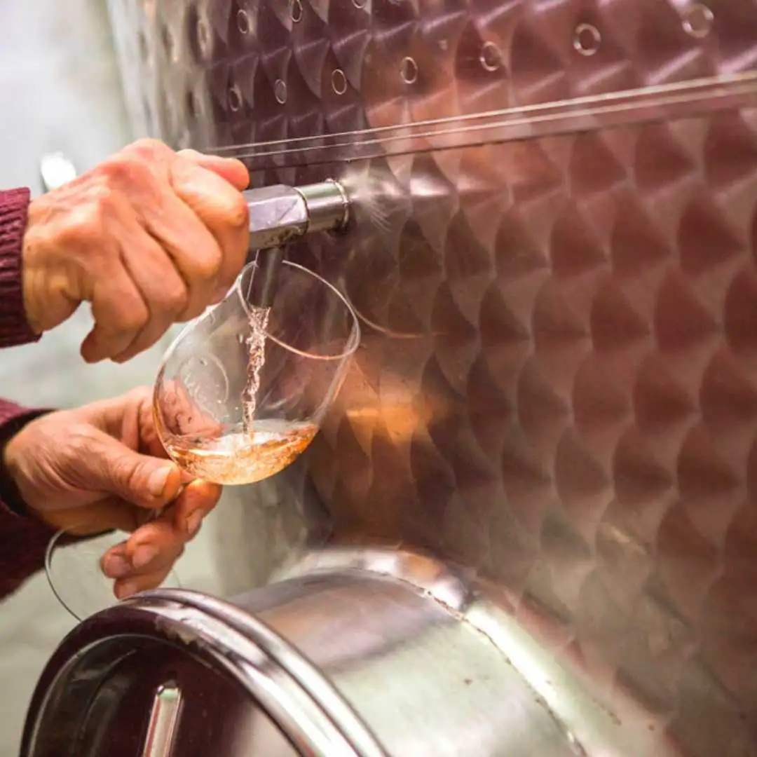 book a wine tour gozo