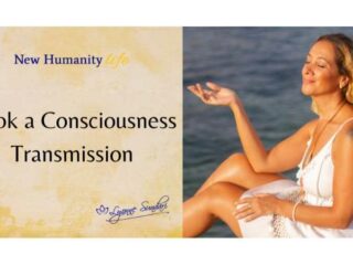 Lyonne Sundari 16 320x240