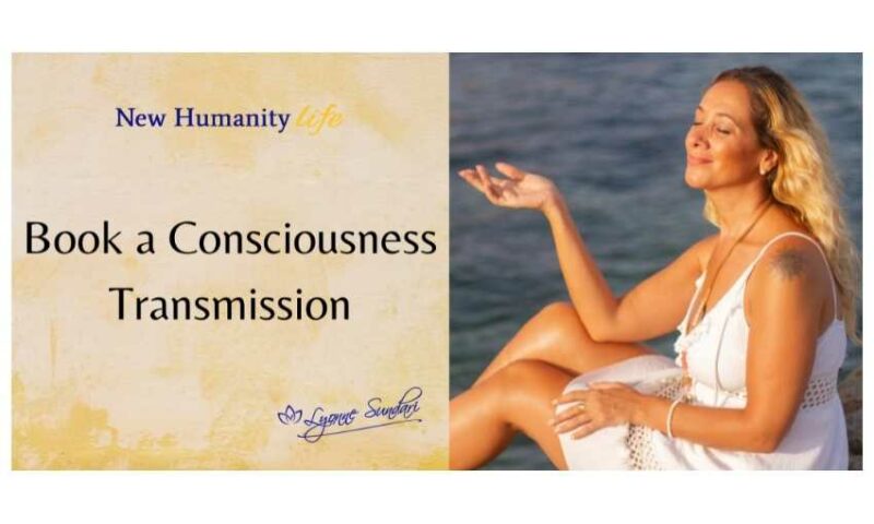 Lyonne Sundari 16 800x480