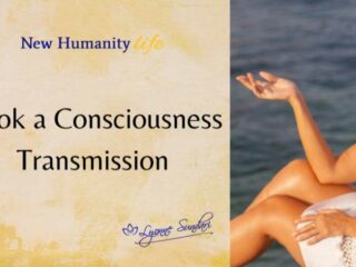 Lyonne Sundari 6 320x240