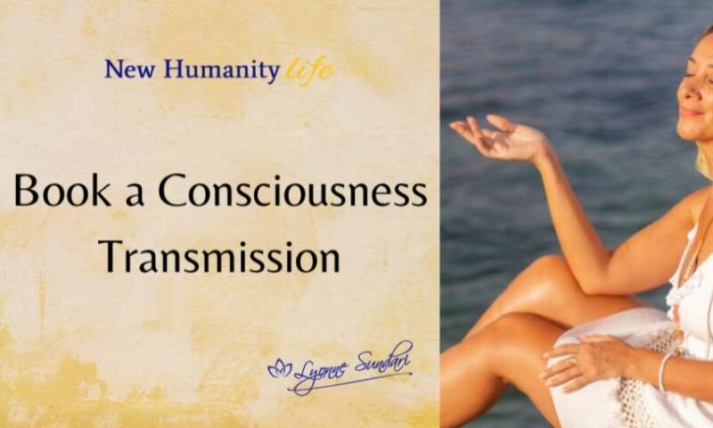 Lyonne Sundari 6 800x480