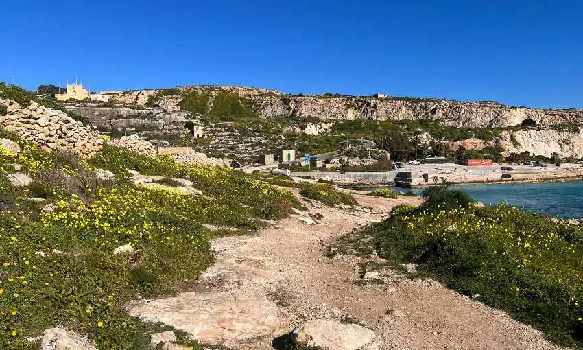 A scenic coastal hiking path lined with yellow wildflowers leading towards the blue waters of Hondoq ir-Rummien Bay in Qala.