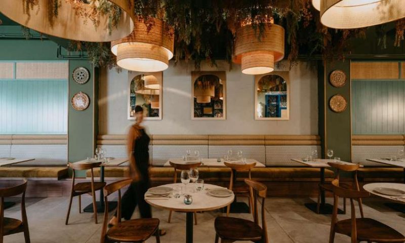 Trishna 13 2 800x480