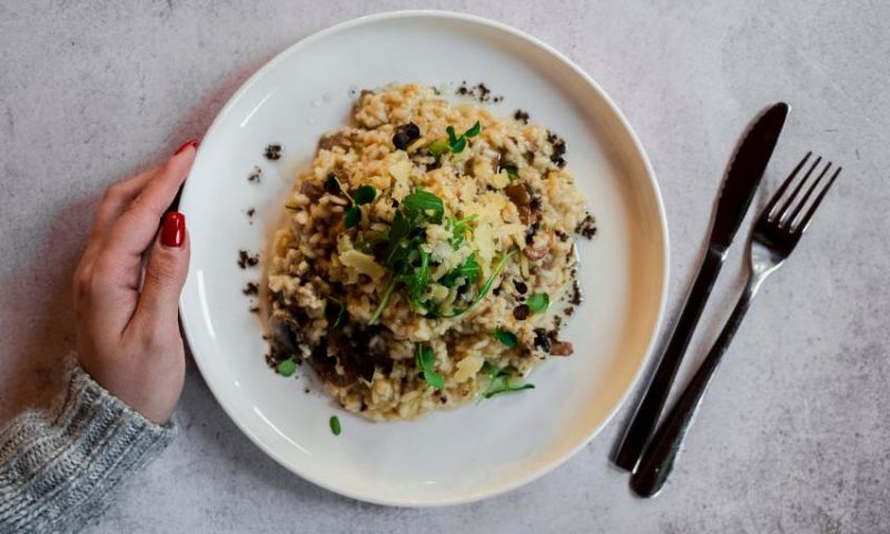 Hog Gozo 3 1 800x480