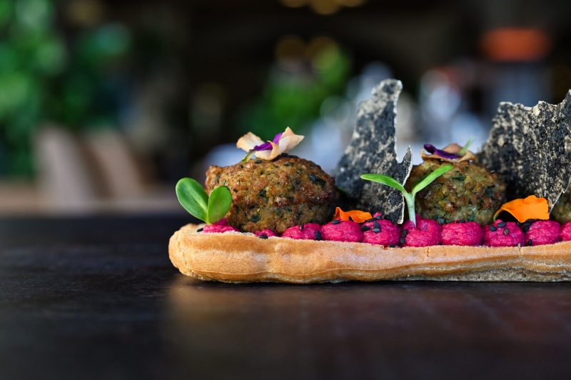 KEMPTWENTYTWO0136 1 1 800x532