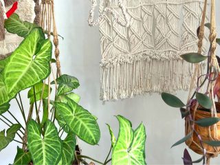 Gozo Weaving 20 320x240