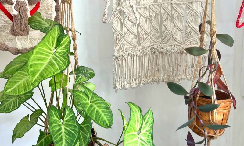 Gozo Weaving 20 800x480