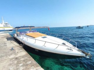 Mitzi Tours Malta 3 320x240