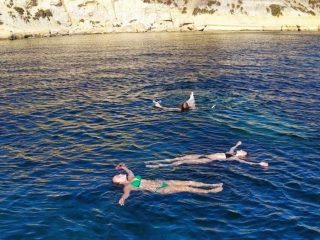 Mitzi Tours Malta 8 320x240