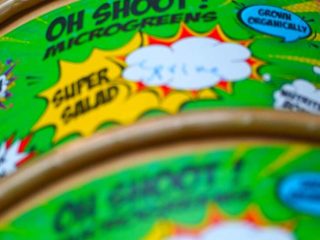 Gozo Microgreens 2 320x240