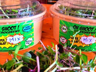 Gozo Microgreens 7 320x240