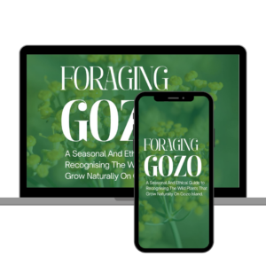 Foraging Gozo EBook