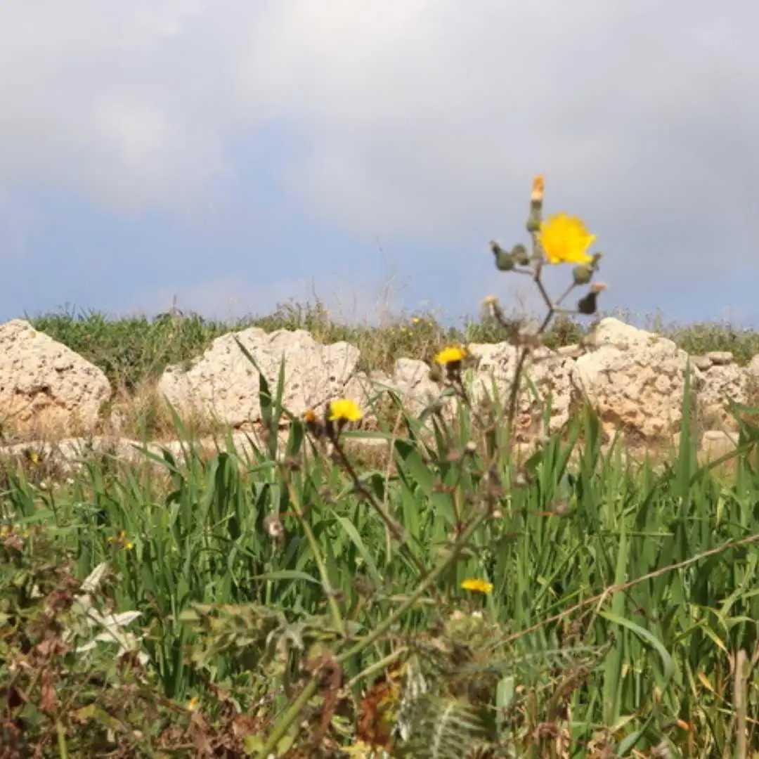 Borg Gharib temple2