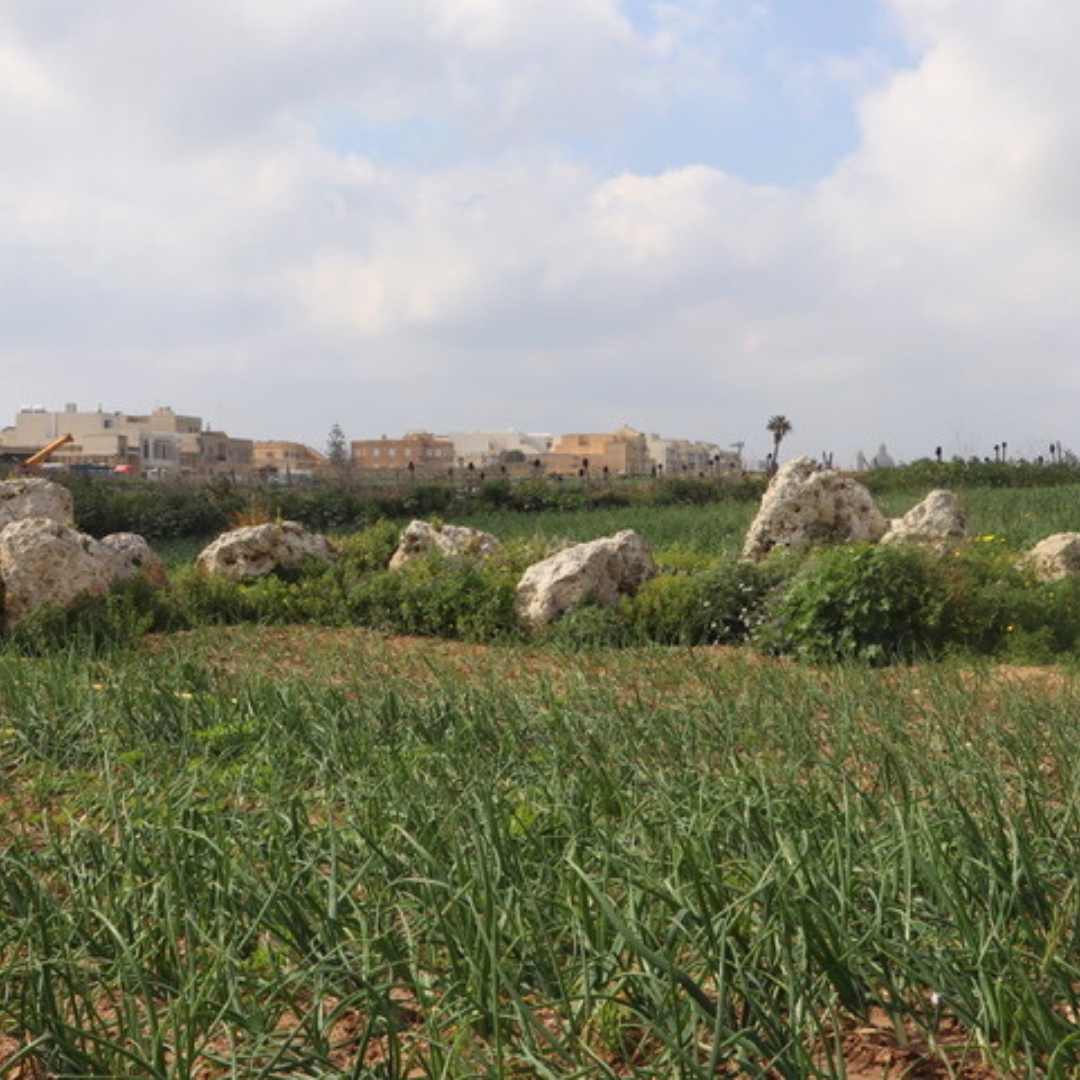 neolitik gozo