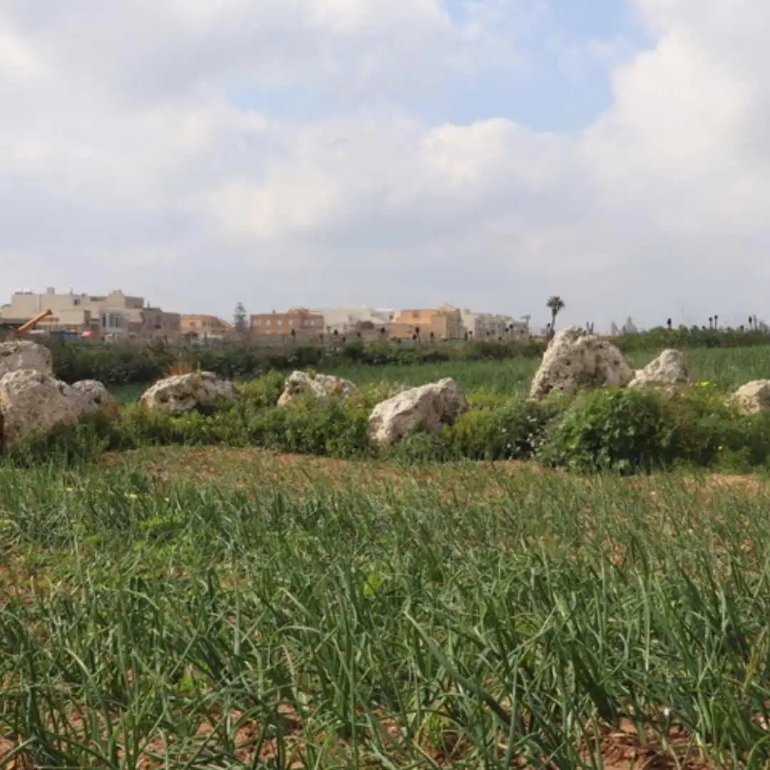 neolitik gozo