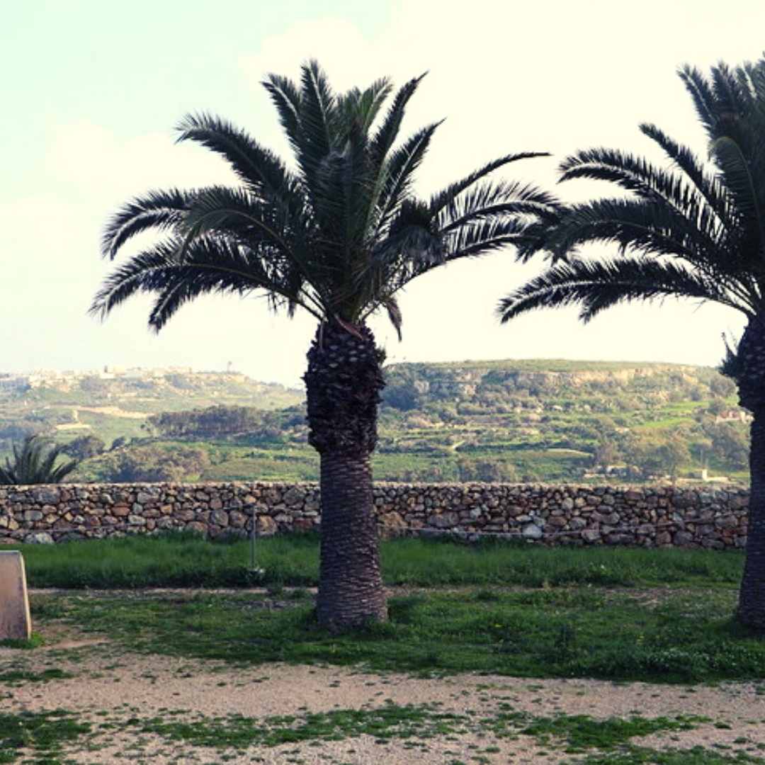 unesco heritage site gozo
