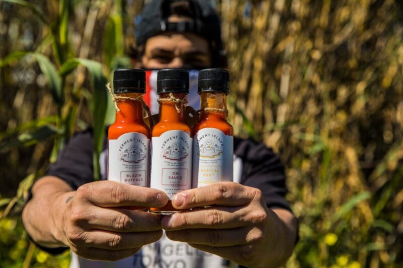 ferment island 800x533